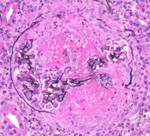 Image of a cell