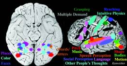 Brainmapstudy image3