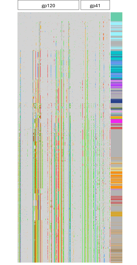Tick plot showing longitudinal evolution in the HIV-1 envelope sequence in a person living with HIV/AIDS over 42 months.